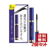 メンズ眉墨 ブラック 5g×2個セット ビナ薬粧  送料無料 | コスメボックス