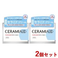 2個セット セラミエイド(CERAMIAID) 薬用スキンクリーム 140g コーセーコスメポート(KOSE COSMEPORT) 送料込 | コスメボックス