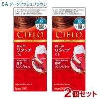 2個セット シエロ(CIELO) ヘアカラー EX クリーム 5A ダークアッシュブラウン 白髪用 ホーユー(hoyu) 送料込 | コスメボックス