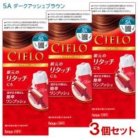 3個セット シエロ(CIELO) ヘアカラー EX クリーム 5A ダークアッシュブラウン 白髪用 ホーユー(hoyu) 送料込 | コスメボックス