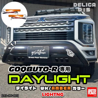 IPF デイライト LED 車用 面発光 IPF LED デイランプ 車用 面発光 400cd/100cd 6000K ML-06