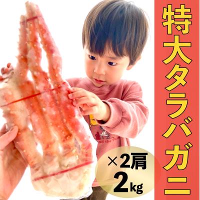 なつみ　タラバ脚2肩2キロ　訳あり商品 タラバガニ 2kg」の人気商品一覧 | 安い商品を通販サイトから