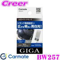 カーメイト BW257 GIGA LEDトランクランプR70T 15000K 70lm T10タイプ(W5W) 青白光 1個入り | クレールオンラインショップ