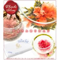 [2017母の日限定]　カーネーションのお花が咲く工芸茶３種ギフトボックス（化粧箱入り） 