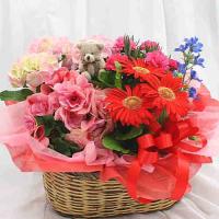 季節の鉢植え　寄せ鉢　花ギフト　「LLサイズ」　誕生日プレゼントや退職などのお祝い 