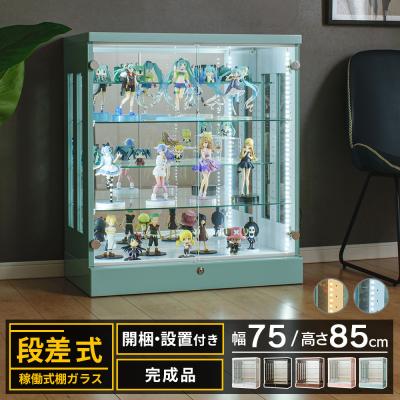 ワンピース（フィギュアケース）｜フィギュア | ゲーム、おもちゃ の