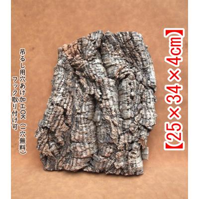 コルク樹皮の商品一覧 通販 - Yahoo!ショッピング