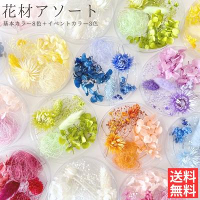 ハーバリウム 花材の商品一覧 通販 - Yahoo!ショッピング