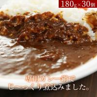 松屋 オリジナルカレー30食セット 冷凍食品　カレー　爆買 | スペース・K ジャパンヤフー店