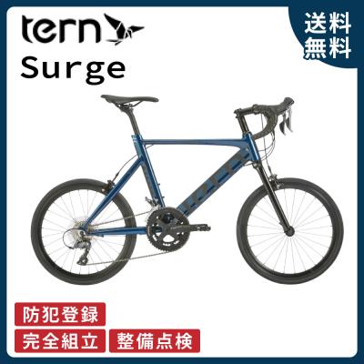 ハタゴニアTernサージュです。 DAHON Tern ターン 自転車 ミニベロ Surge サージュ 2025年