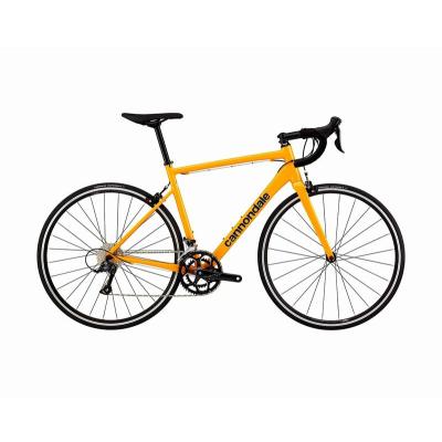 キャノンデール ロードバイク Cannondale送料込み 楽天市場】キャノンデール（ロードバイク｜自転車・サイクリング