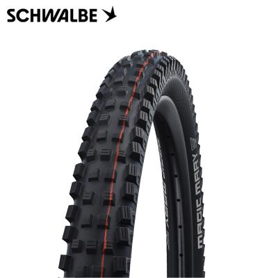 schwalbe Magic mary 29（自転車） | 車、バイク、自転車 の商品一覧