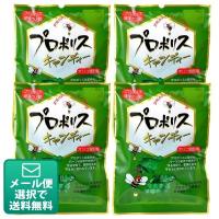 森川健康堂 プロポリスキャンディ 4袋(100g/袋)(メール便1点まで) | 歯科医院専売品のデンタルフィット