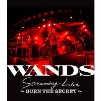 優良配送 Blu-ray WANDS Streaming Live BURN THE SECRET | Disc shop suizan 2号店