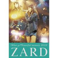 ボーナスストアPlus 10％対象 ZARD DVD What a beautiful memory 2009 坂井泉水 | Disc shop suizan 2号店