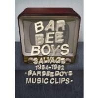 廃盤 DVD バービーボーイズ SALVAGE 1984-1992 BARBEE BOYS MUSIC CLIPS ミュージックビデオ PR | Disc shop suizan 2号店