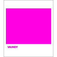 ボーナスストアPlus 10％対象 国内正規品 CD Vaundy strobo バウンディ | Disc shop suizan 2号店