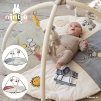 ＼NEW／ miffy ミッフィー ベビージム フラッフィー | プレゼント ギフト うさぎ ブルー ピンク(WNG) | DADWAY・Ergobaby