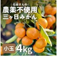 三ヶ日 みかん 位田さんの農薬不使用三ヶ日みかん 小玉 4kg  極...