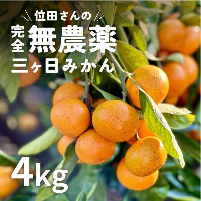 浜名湖産直マーケット - 三ヶ日みかん｜Yahoo!ショッピング