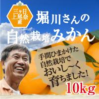 無農薬三ヶ日みかん 10ｋｇ有機栽培40年堀川さん渾身の三ケ日みかん！ 