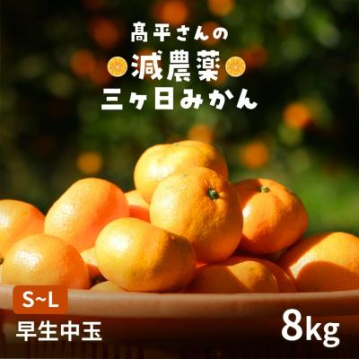 M66.専用品　農薬不使用 浜名湖みかん5種類ミックス30kg 安心　安全 M66.専用品 農薬不使用 浜名湖みかん5種類ミックス30kg 安心 安全