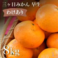 訳あり 三ヶ日みかん 早生 8kg 産地直送 わせみかん 三ケ日 温州...