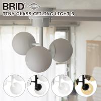 ブリッド BRID タイニー グラス シーリングライト 3灯 3364（電球なし） TINY GLASS CEILING LIGHT 3 GENERAL ランプシェード | daily-3.com