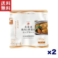 南華園 北海道鶏肉と野菜のスープカレー 230g×2個 | やまさき商店