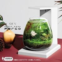 観賞魚飼育セット 水槽セット グラスアクア PERCO T-WH 約6L オールインワン水槽 ペルコ 金魚 熱帯魚 海水魚 メダカ 観葉植物 おしゃれ ガラス ライト付き GEX | デイリー通販Yahoo!店