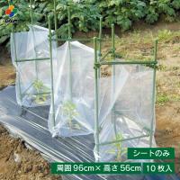 daim 野菜ガード 10枚入 替えシート ガード 野菜 栽培 用品 保温 ビニール シート 霜よけ 雨よけ 風よけ 防風 防寒 対策 家庭菜園 野菜つくり 第一ビニール | ダイムファクトリー Yahoo!店