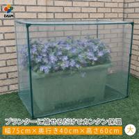daim すっぽり保温カバー 大 75cm×40cm×60cm 多肉植物 苗 野菜 簡易 温室 霜除け 風よけ 冬越し 保温 簡易ハウス ミニ温室 育苗 プランター カバー 寄せ植え | ダイムファクトリー Yahoo!店