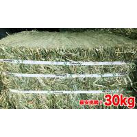 daishin-bussan2_db-timothy30kg