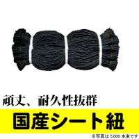 yahoo ショッピング yahoo japan