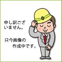 日油技研工業 日油技研 サーモラベル1点表示/小型屋外対応型 不可逆性 60度 F-60 [A230101] | DAISHIN工具箱