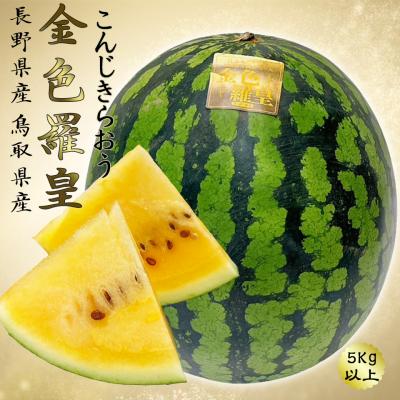 金色羅皇 苗のおすすめ人気商品一覧 通販 - Yahoo!ショッピング