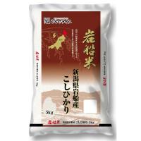 コシヒカリ 白米 5kg 岩船産 岩船米 こしひかり 新潟県産 白米 お米  米 | ダイユーエイト.com