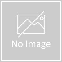 ムサシ RITEX センサーライト本体取付用 マグネット ※取寄品 SP-9cmダイユーエイト | ダイユーエイト.com