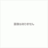 アサヒペン 油性高耐久鉄部用 ライトグリーン 1.6L | ダイユーエイト.com