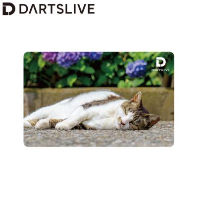 ダーツライブ カード デザインの商品一覧 通販 - Yahoo!ショッピング