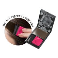 資生堂 プリオール ヘア ファンデーション ダークブラウン 毛髪着色料 フローラルグリーンの香り 3.6g 爆買 | ダテ薬局