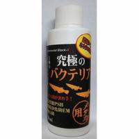 (株)B-blast 究極のバクテリア メダカ用/120ml | DCMオンライン