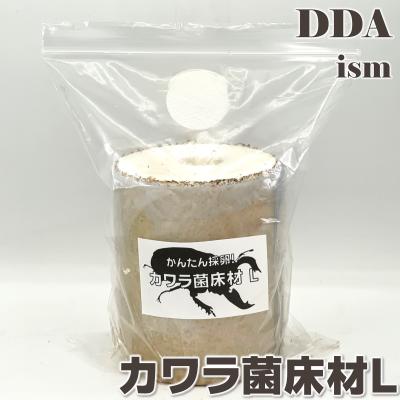 クワガタ 産卵木のおすすめ人気商品一覧 通販 - Yahoo!ショッピング
