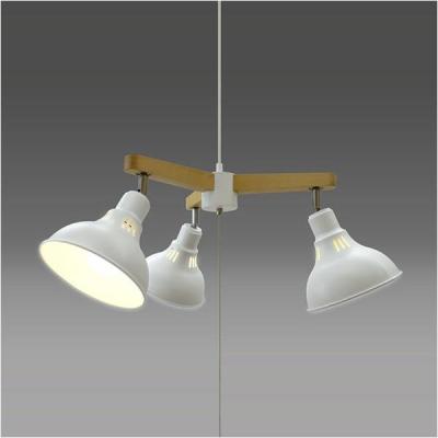 タキズミ　照明　シャンデリア 照明器具 シャンデリア タキズミ」の人気商品一覧 | 安い商品を通販