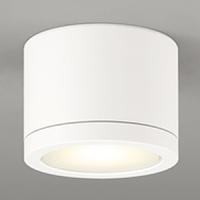 オーデリック LED非常用照明器具・誘導灯器具 防雨型 天井面取付専用 電球色 ねじ込式 オフホワイト OR037064 | 電材堂ヤフー店