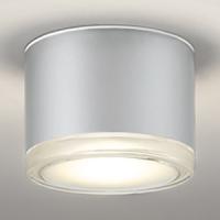 オーデリック LED非常用照明器具・誘導灯器具 防雨型 壁面・天井面取付兼用 電球色 ねじ込式 マットシルバー OR037039 | 電材堂ヤフー店