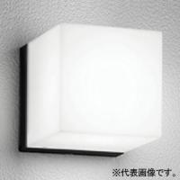 オーデリック LEDポーチライト 防雨型 防水パッキンレス型 口金E17 昼白色 ねじ込式 壁面取付専用 黒色 OG254800NR | 電材堂ヤフー店