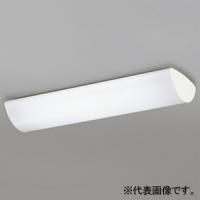 オーデリック LEDキッチンライト 高演色LED FL20W×2灯相当 直管形LED 2灯 口金G13 昼白色 非調光タイプ OL551289NR | 電材堂ヤフー店