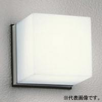 オーデリック LEDポーチライト 防雨型 口金E17 温白色 ねじ込式 壁面・天井面取付兼用 OG041644WR | 電材堂ヤフー店