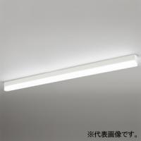 オーデリック LEDベースライト 直付型 R15 クラス2 低光束タイプ 1200mmタイプ 昼白色 非調光タイプ オフホワイト OL291573R2B | 電材堂ヤフー店